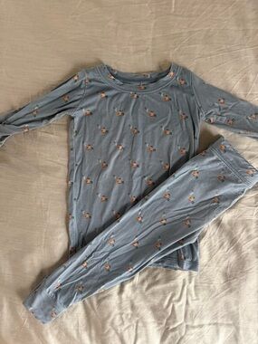 Wild Bird pajama set- 18-24 months